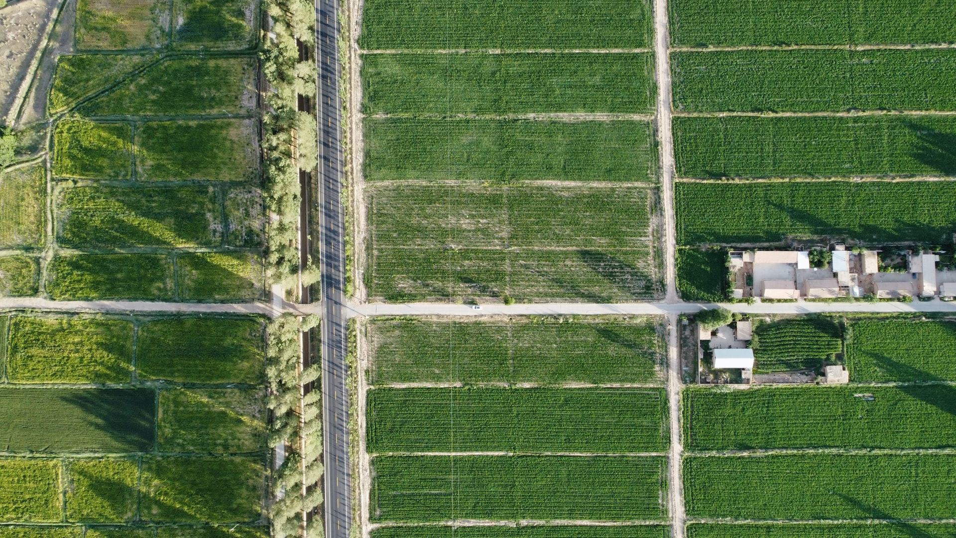 The Challenge of Finding Improved Land